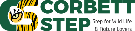 Travel Agent - Corbett Step Hospitality